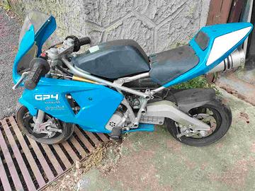 Minimoto POLINI GP4