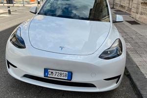 Tesla Model Y RWD