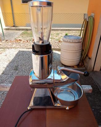 Frullatore professionale