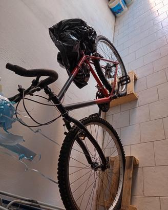 Mountain bike con cambio Shimano 