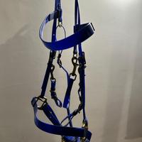 Testiera da endureance