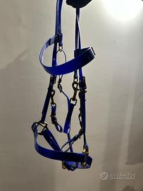 Testiera da endureance