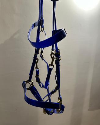 Testiera da endureance