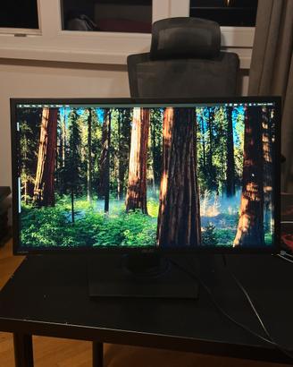 Monitor Gaming 24'' FHD 75hz - Asus VG245h