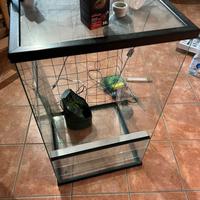 Rettilario accessoriato 50xx50x90