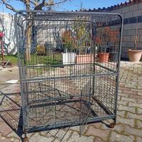 Accessori per animali