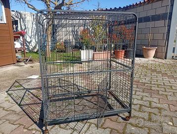 Accessori per animali