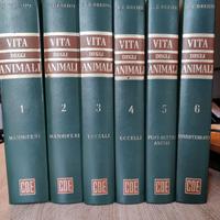 VECCHIA ENCICLOPEDIA