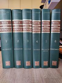 VECCHIA ENCICLOPEDIA