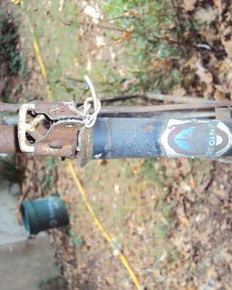 bicicletta Regina  epoca