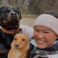 Pet Sitter, Baby sitter