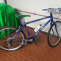 mtb olmo nuova