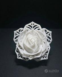 Rosa elegante di design