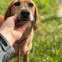 Pia 8 anni taglia media contenuta