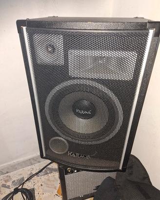 coppia casse professionali 