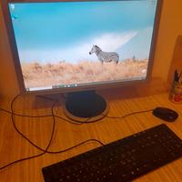 Monitor Samsung 20" pollici LCD