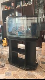 Acquario aperto con mobiletto 