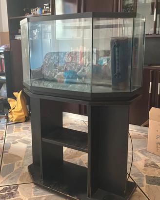 Acquario aperto con mobiletto 