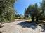 Immagine 21