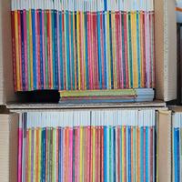 SPECCHIO della Stampa - Primi 380 numeri