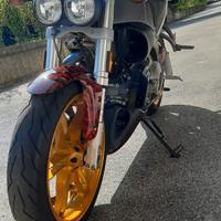 Buell Lightning XB12 - 2005