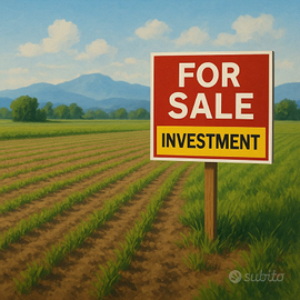 Terreno agricolo per buon investimento