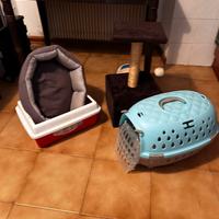 Per gatto cuccia tiragraffi trasportino lettiera
