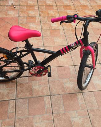 Bicicletta 20