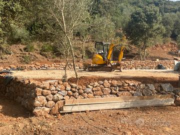 Wii giochi olimpici di Londra 2023