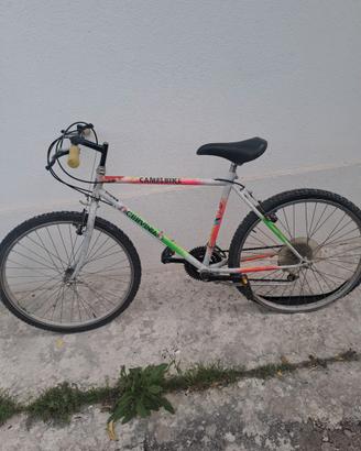 Bicicletta