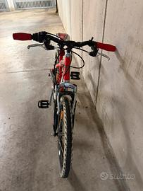 Bicletta