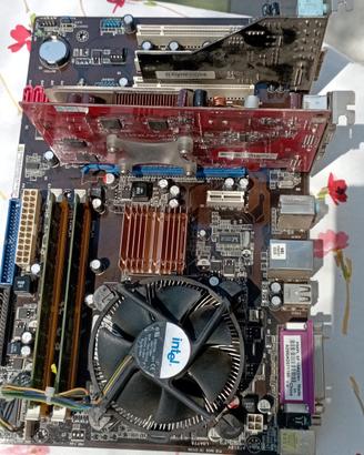  scheda madre Asus P5KPL-SE 