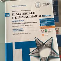 libro il meteriale e l’immaginario