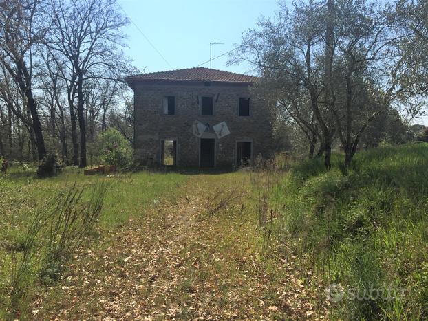 Casale parzialmente ristrutturato con parco