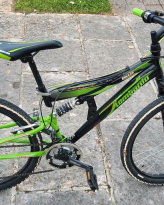 mountain bike per ragazzo