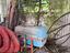 Immagine 4