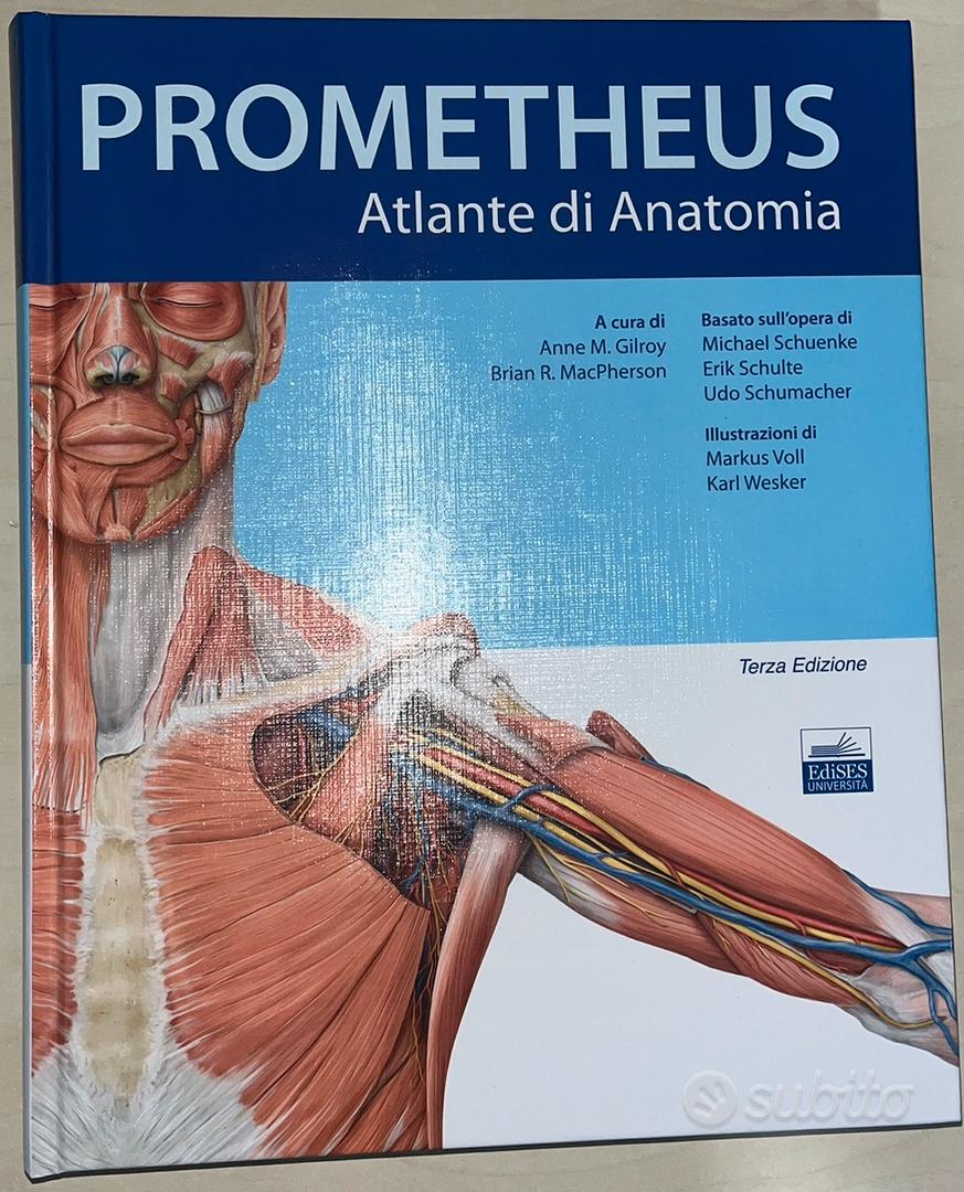 Atlante di anatomia umana (libro - Libri e Riviste In vendita a Salerno
