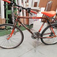 bici Mountain bike da 26