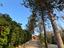 Immagine 26
