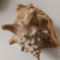 soprammobile originale 