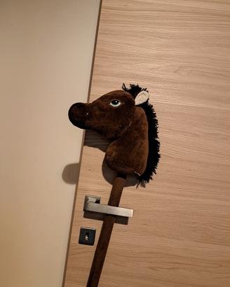 2 hobby horse in perfette condizioni