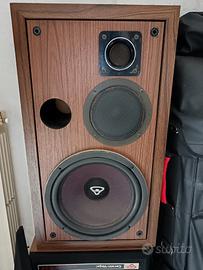 Coppia casse Cerwin-Vega Digital Series d3