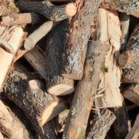 Legna per camino e stufa 