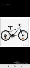 bici taglia 20