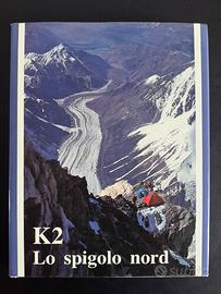 Santon Da Polenza K2 lo spigolo nord