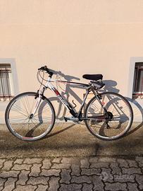 Bicicletta tipo Gravel 