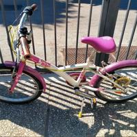Bicicletta raggio 20