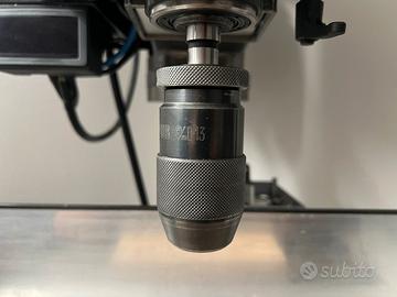 Mandrino validus 0-13