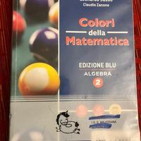 I colori della matematica