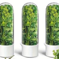 Contenitori per conservare herbe fresche 